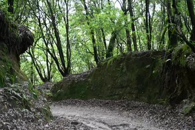 Road to NoWhere